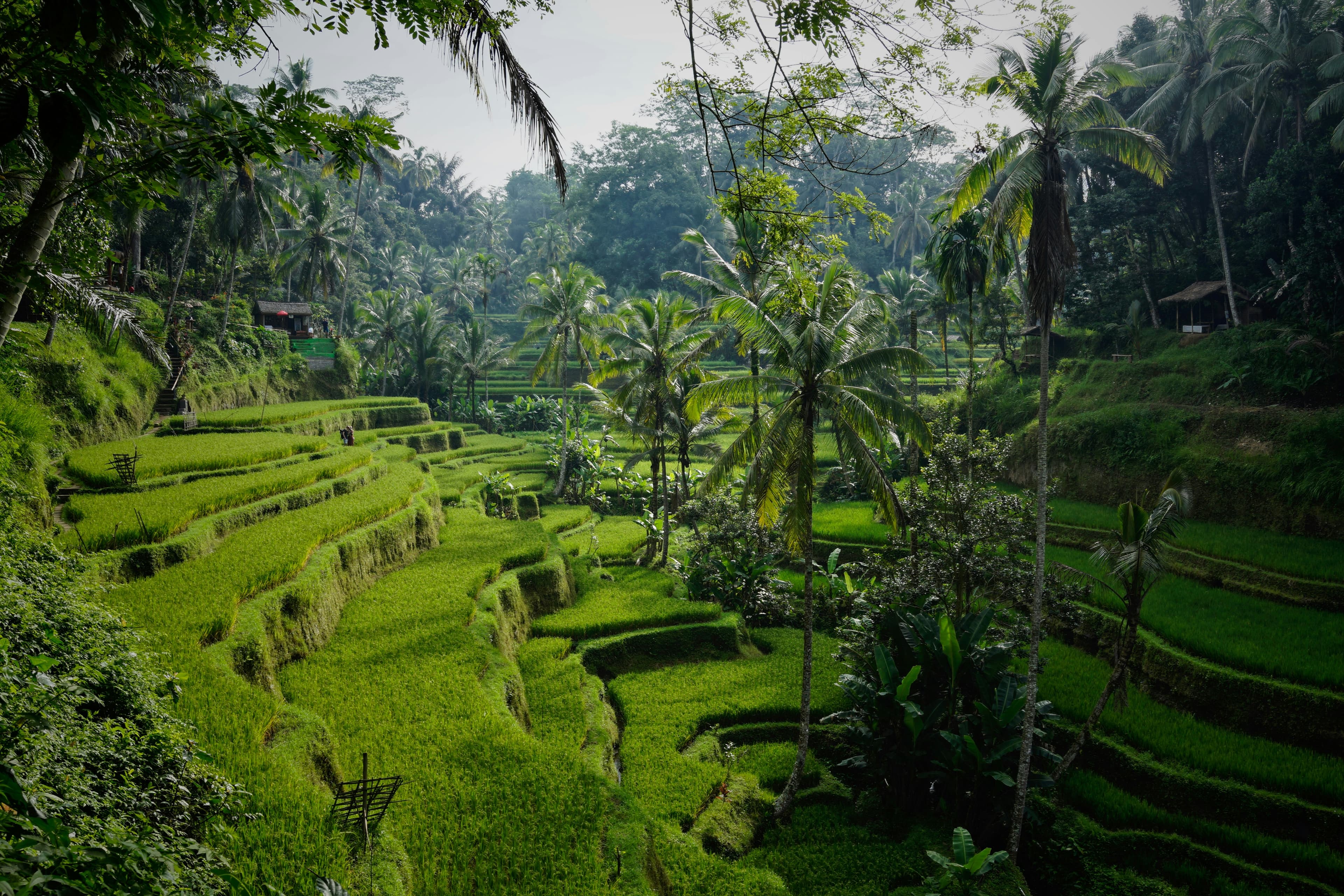 View 1 of Bali Delight 6-Night Escape with VietJet