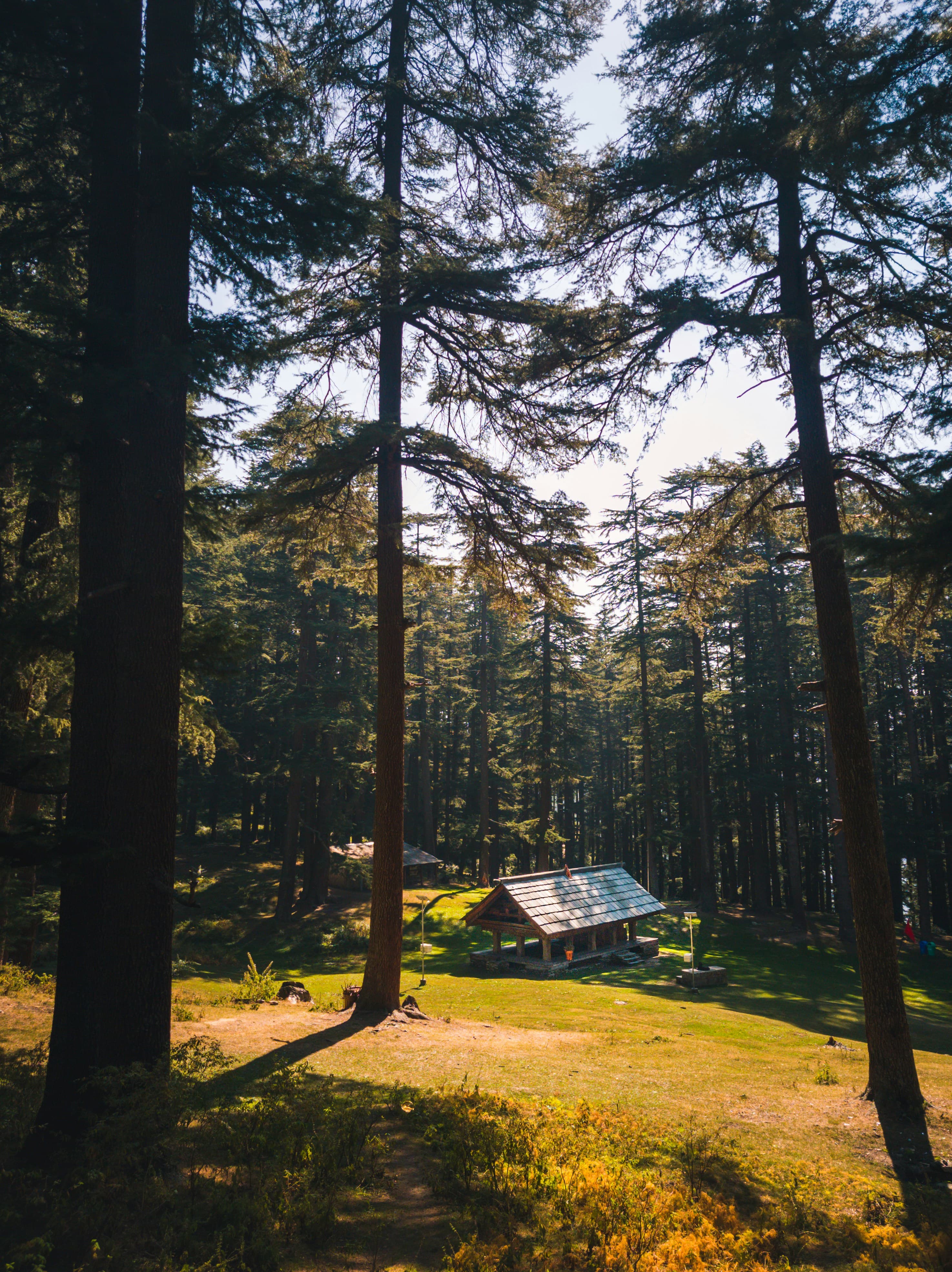 View 1 of Escape to the Hills: Shimla & Manali Experience
