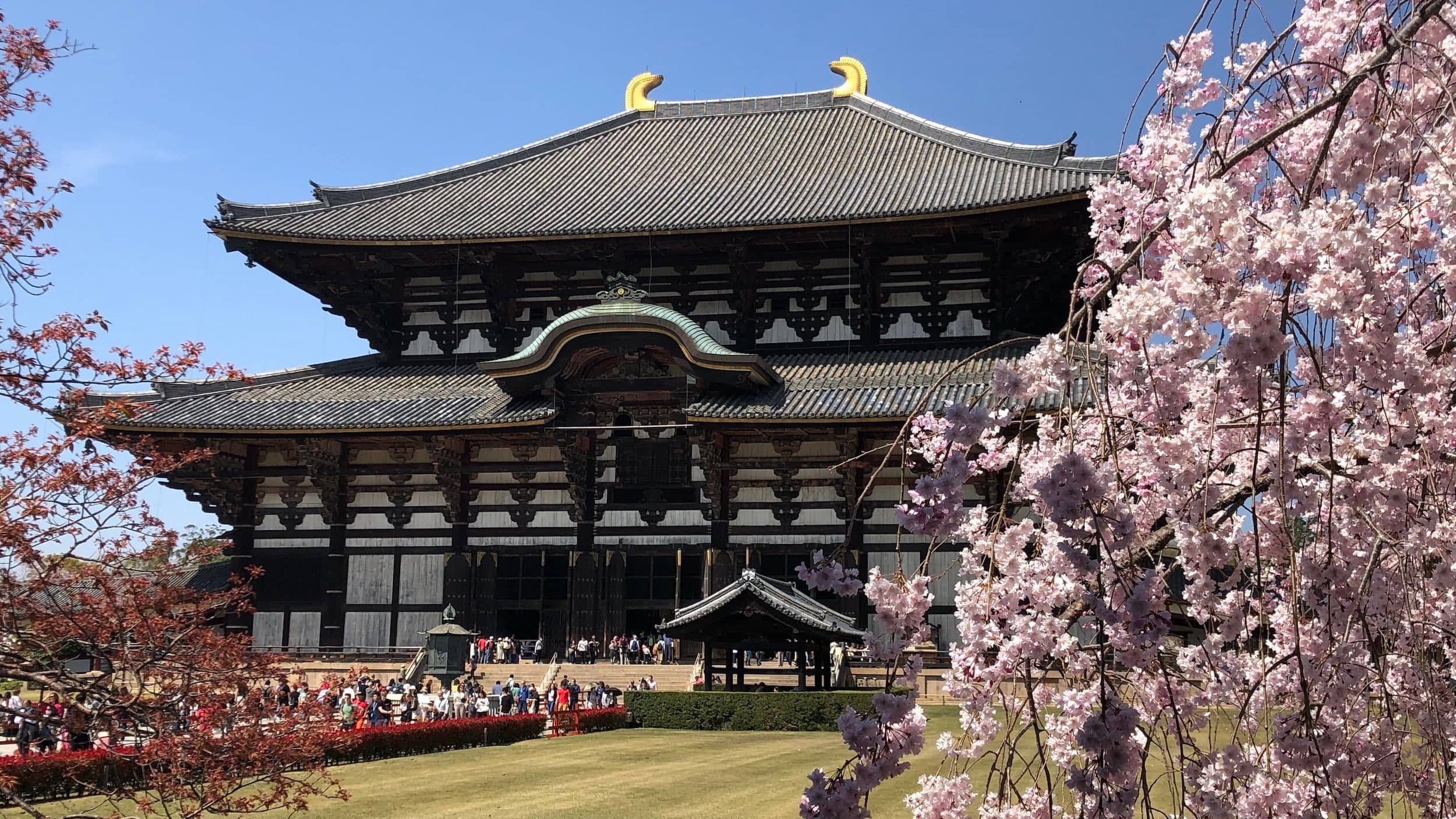 View 1 of Scenic Journey through Japan | A Blend of Timeless Traditions & Contemporary Marvels