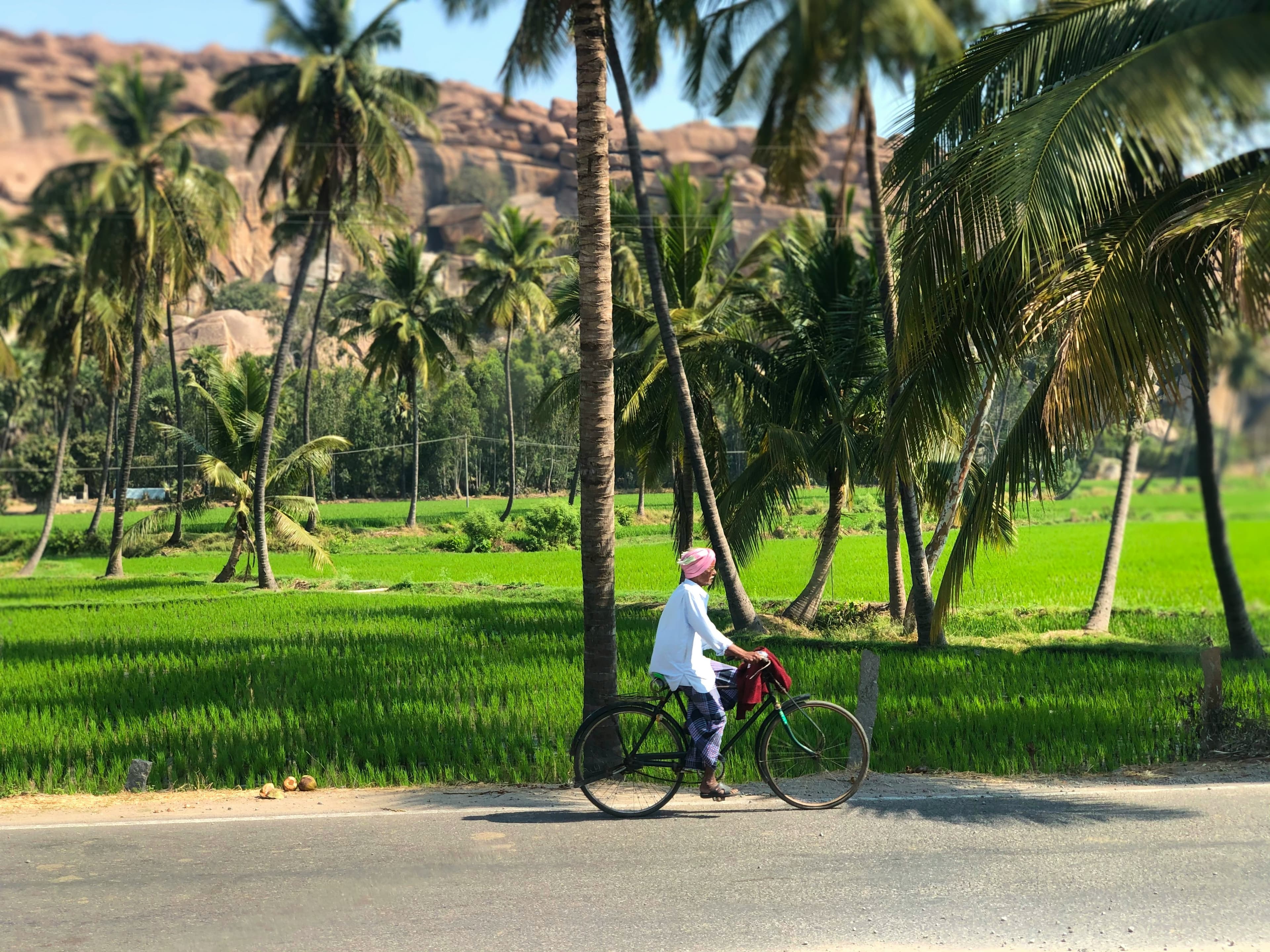 View 1 of Southern Elegance: From Garden City to Temple Trails