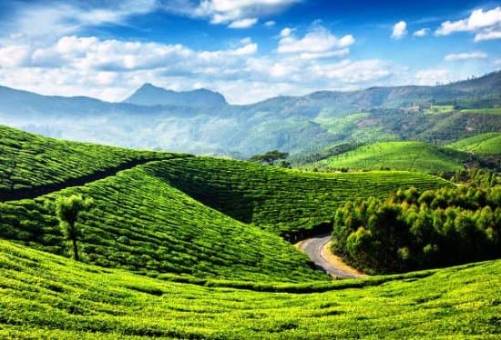 View 1 of Kerala Escapades | Tranquil Backwaters, Verdant Hills, and Coconut Groves