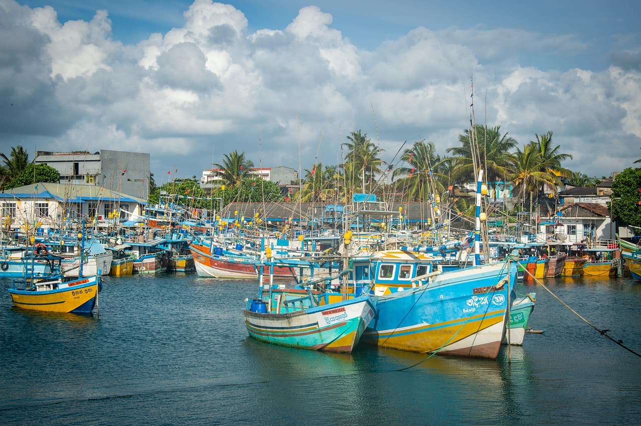 View 1 of Sri Lanka 10 Days of Ancient Kings, Tea, and Wild Leopards